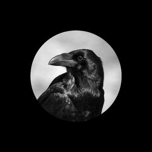 久久国产免费观看精品
