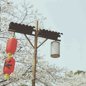 久久国产免费观看精品
